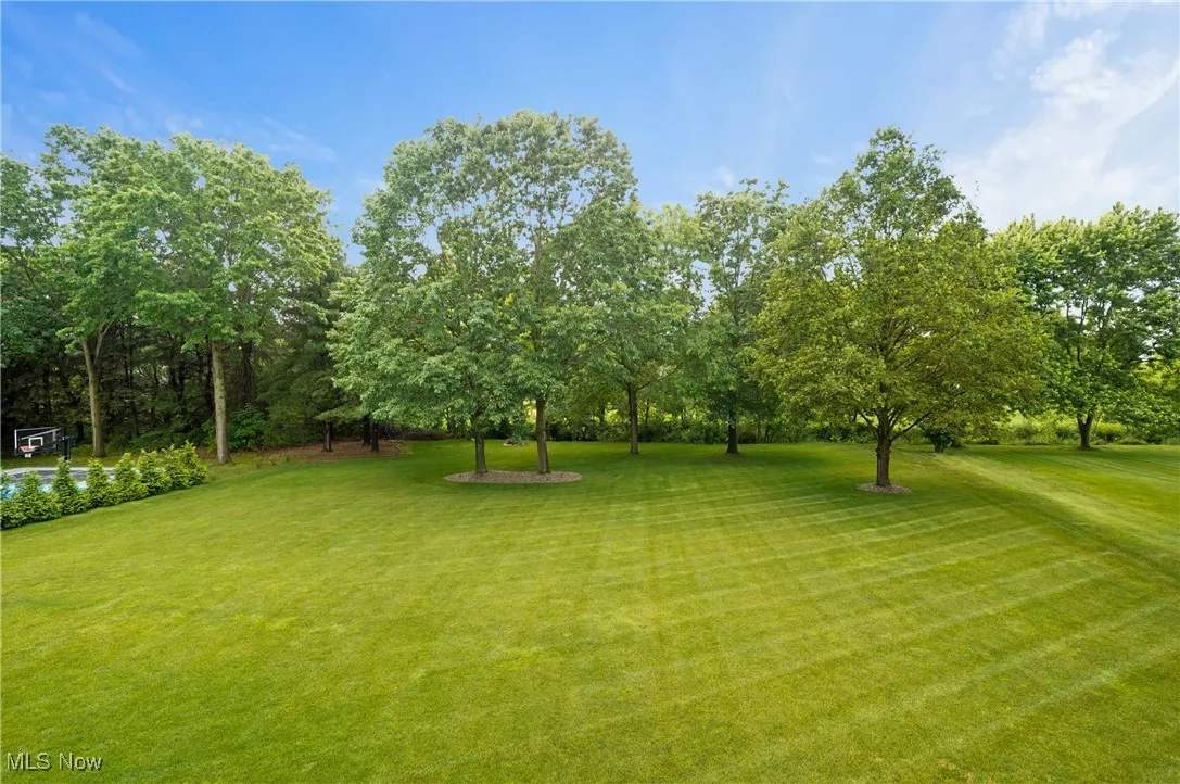 View of grassy yard with view of scattered trees