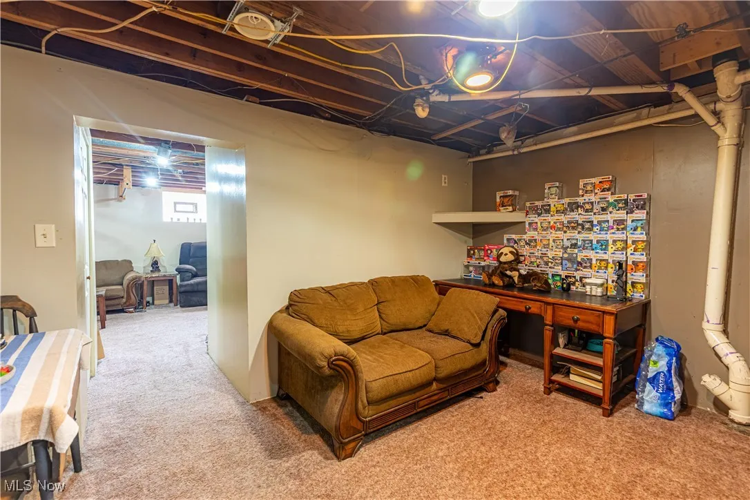 Living room featuring carpet