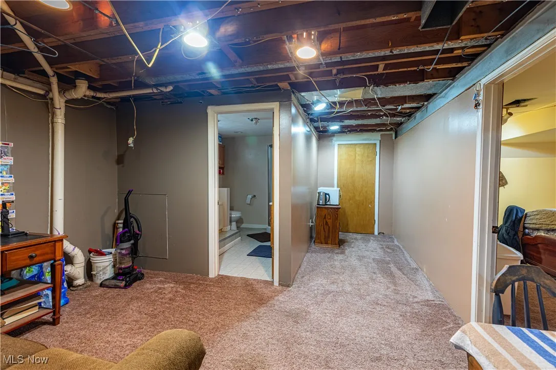 Unfinished basement with carpet