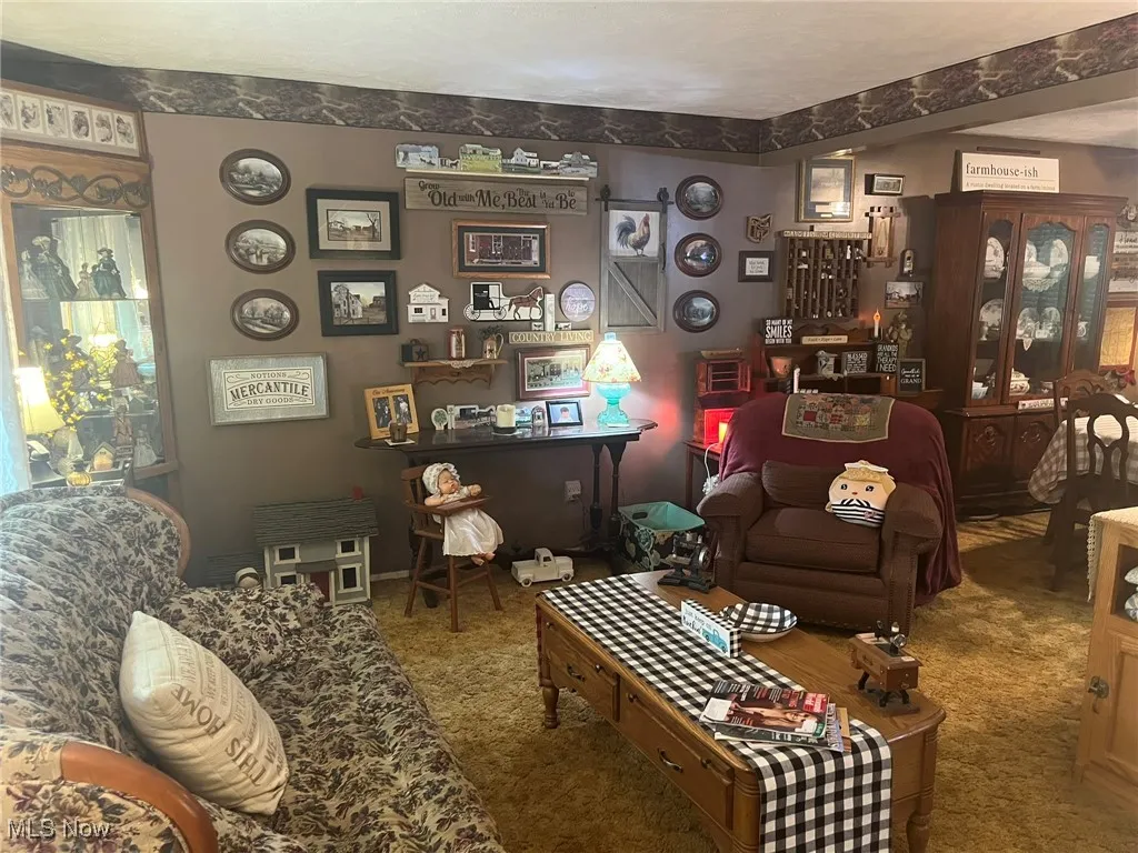 Living room featuring carpet flooring