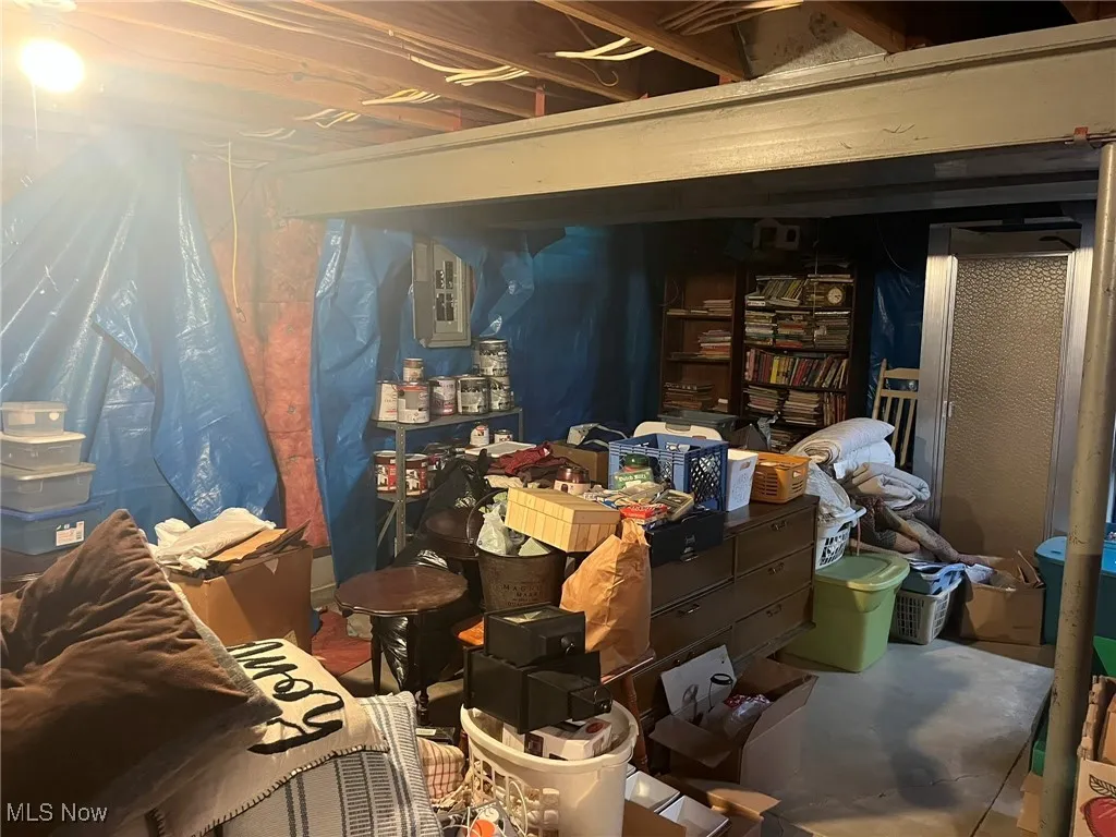View of unfinished basement