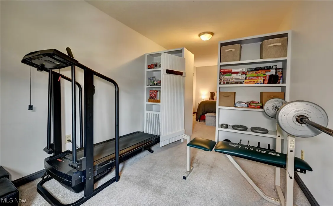 Workout room featuring carpet floors