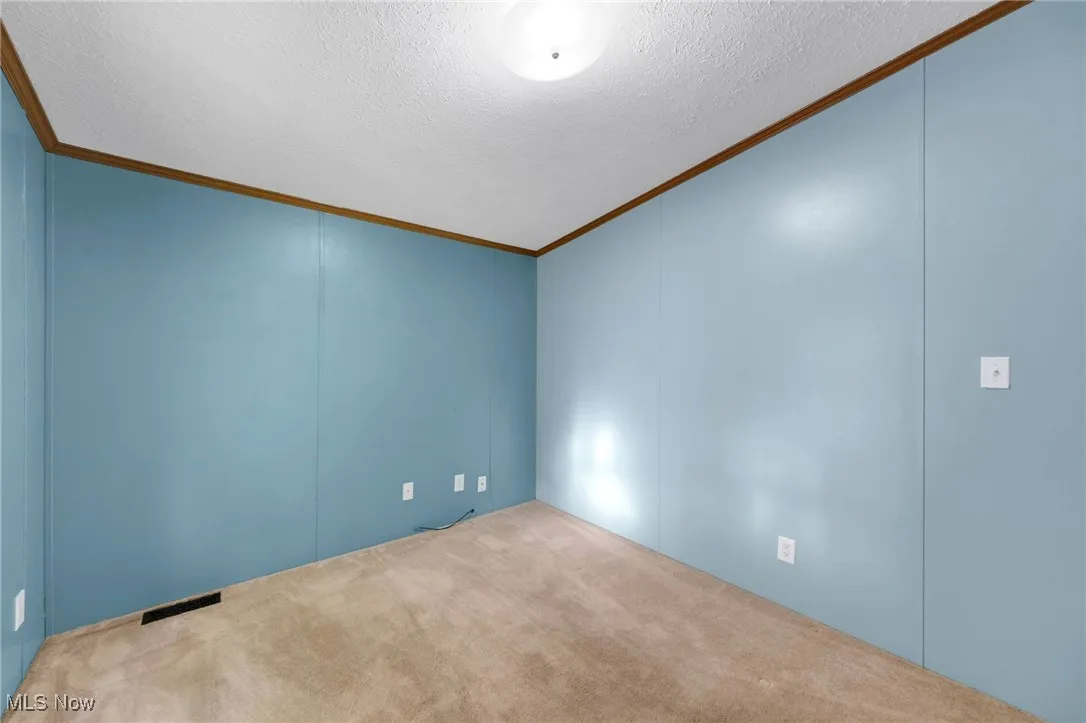 Spare room with ornamental molding, carpet flooring, and a textured ceiling