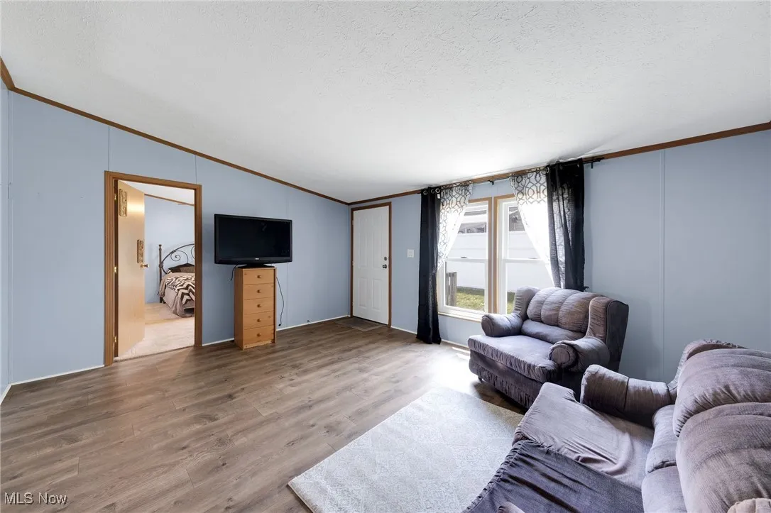 Living room featuring crown molding, lofted ceiling, wood finished floors, and a textured ceiling