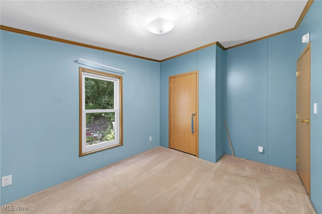 Carpeted empty room with ornamental molding, a textured ceiling, and a decorative wall