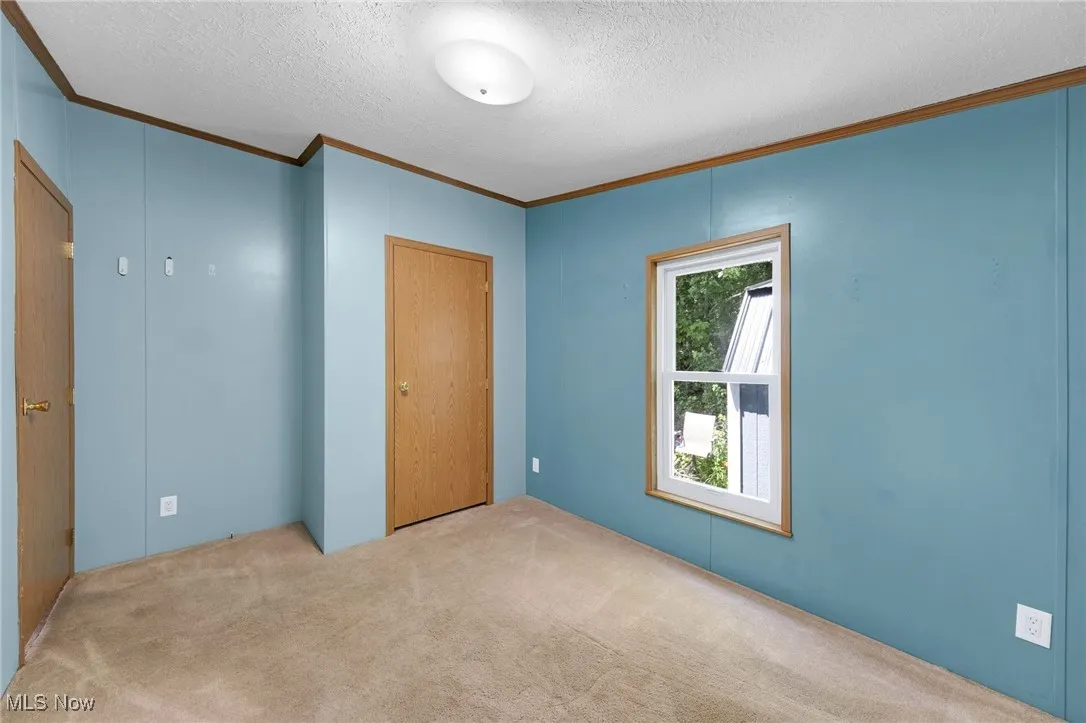Unfurnished bedroom featuring crown molding, carpet flooring, a closet, and a textured ceiling