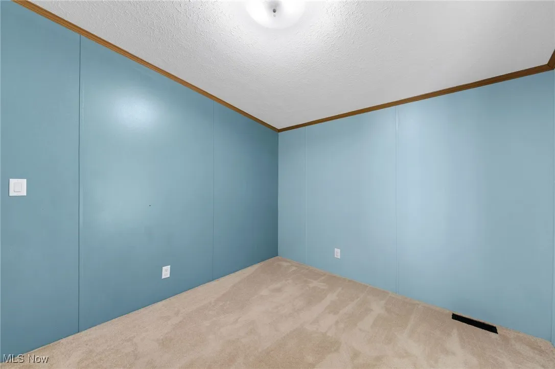 Carpeted spare room with crown molding and a decorative wall