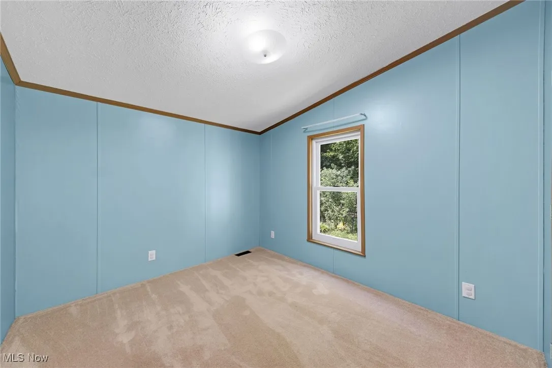 Carpeted empty room with ornamental molding, vaulted ceiling, a textured ceiling, and a decorative wall