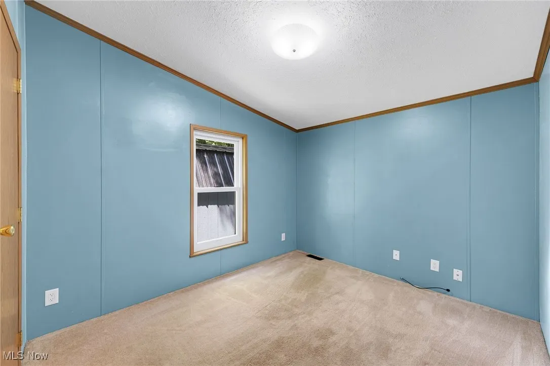 Spare room featuring ornamental molding, carpet flooring, vaulted ceiling, and a textured ceiling