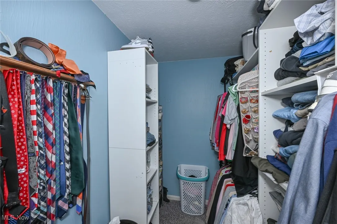 Walk in closet with carpet floors