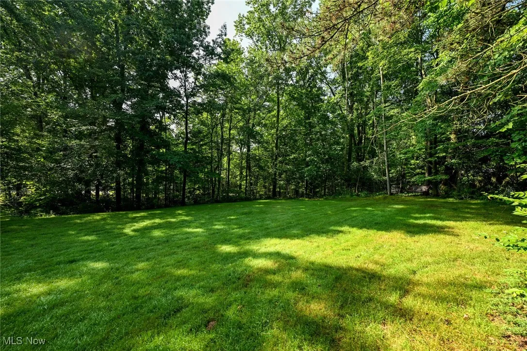 View of grassy yard with a view of trees