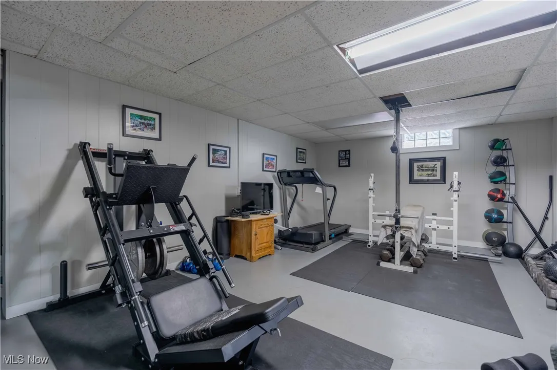 Lower Level / Basement
