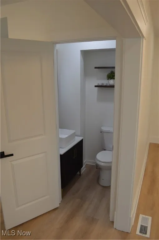 Bathroom featuring wood finished floors and vanity