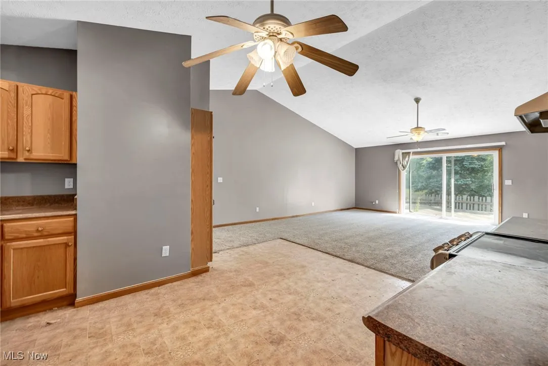 249 Forest Park Drive, La Grange, Ohio,MLS Now Listing ID