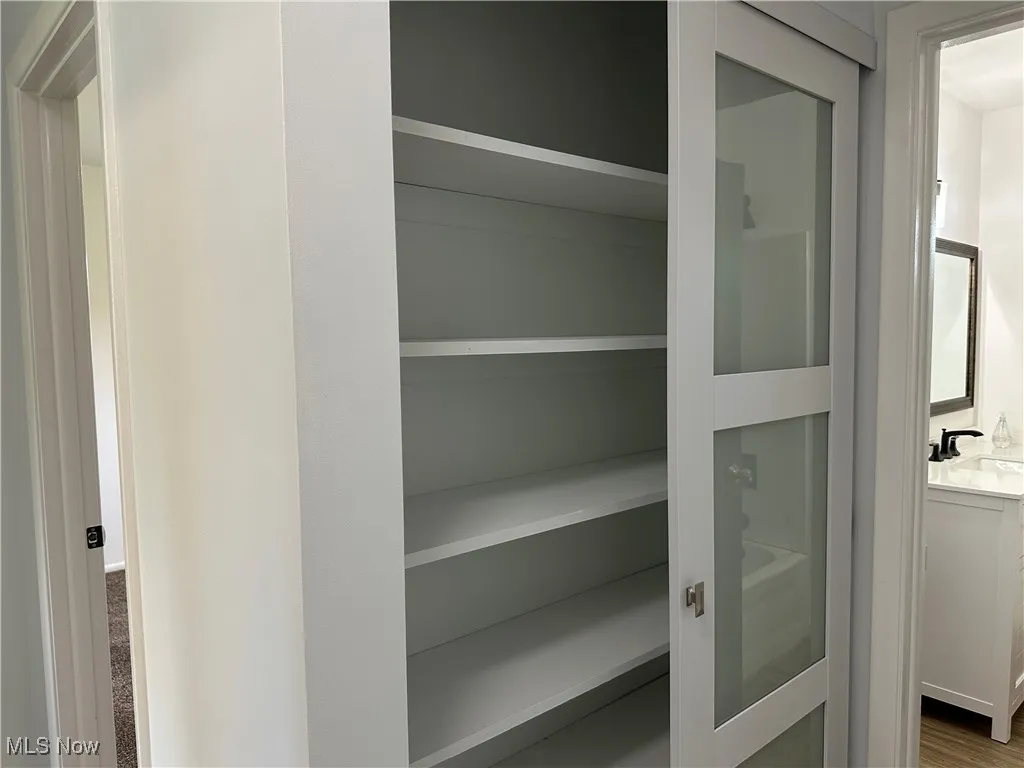 Closet featuring a sink