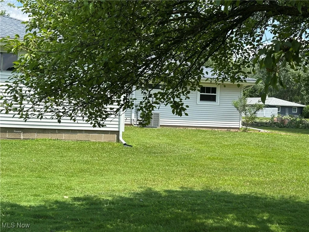 View of green lawn