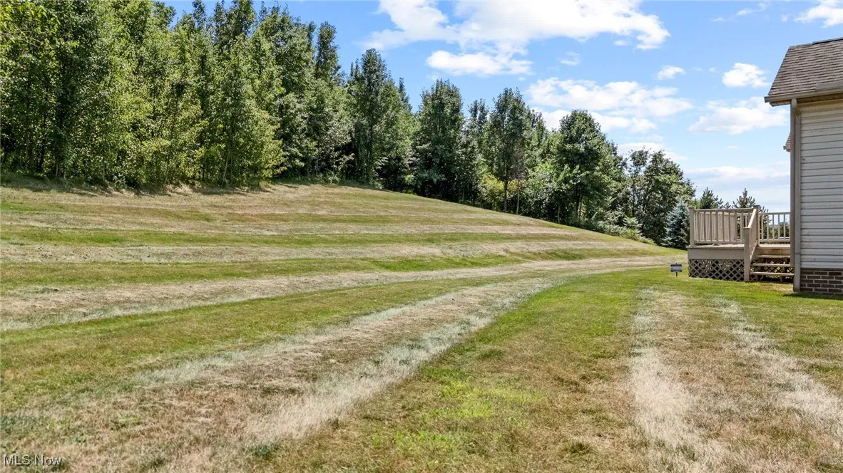 View of dirt / gravel driveway