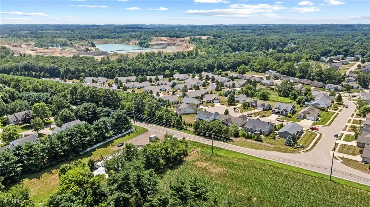 Aerial perspective of suburban area featuring a forest