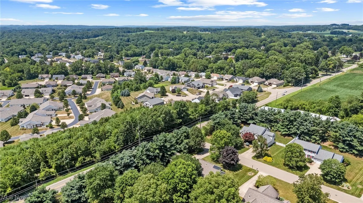 Aerial perspective of suburban area featuring a forest