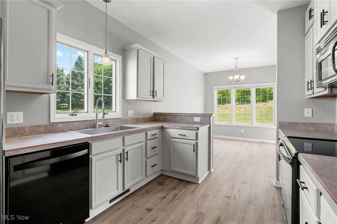 Kitchen featuring black dishwasher, electric range, light wood-style floors, stainless steel microwave, and healthy amount of natural light