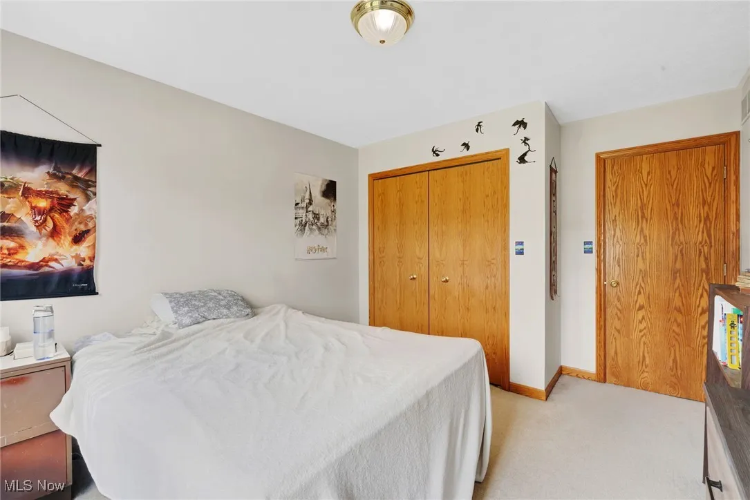 Bedroom featuring light carpet and a closet