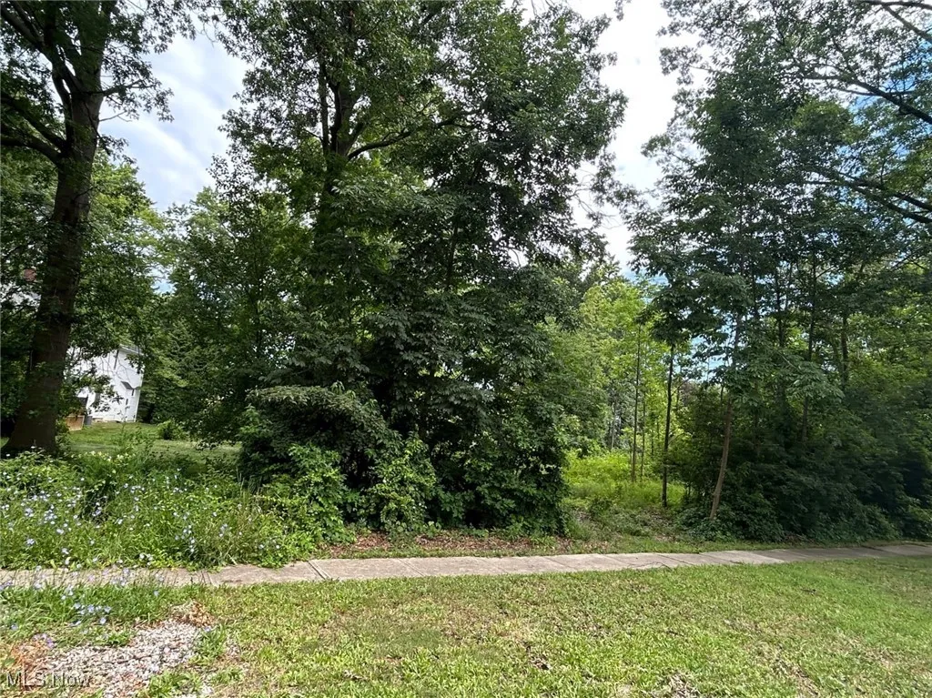33312 Electric Boulevard, Avon Lake, Ohio,MLS Now Listing ID