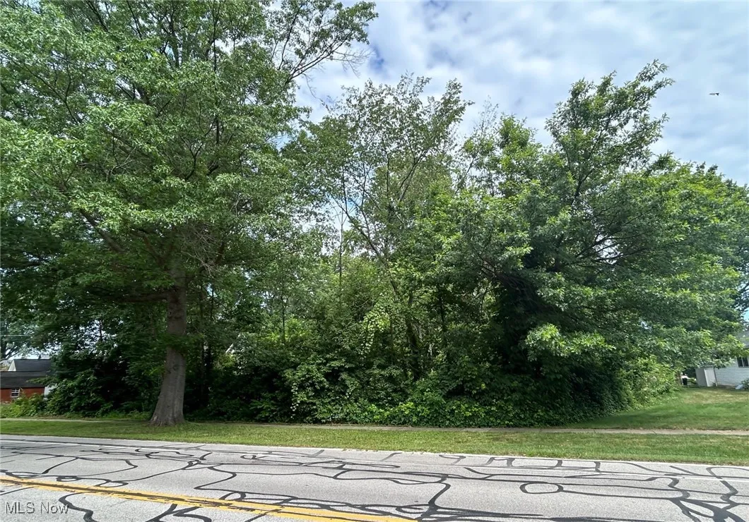 33312 Electric Boulevard, Avon Lake, Ohio,MLS Now Listing ID