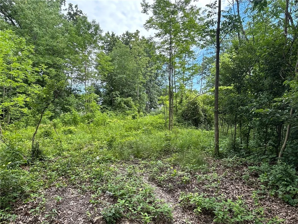 33312 Electric Boulevard, Avon Lake, Ohio,MLS Now Listing ID