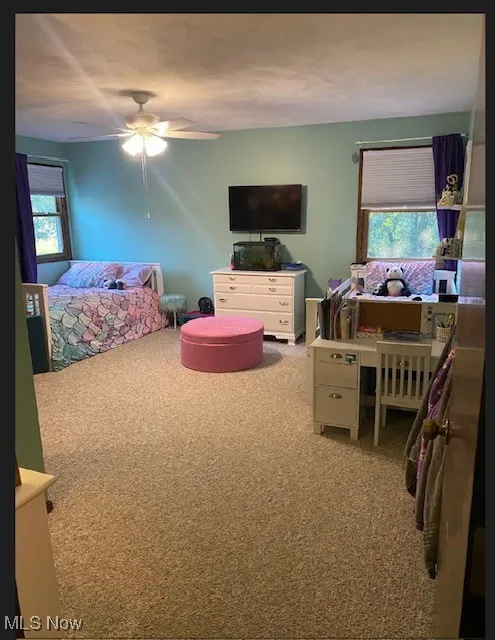 510 Mc Clure Street, Wooster, Ohio,MLS Now Listing ID