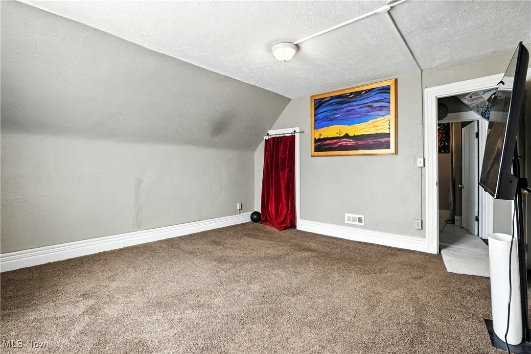 Bonus room featuring carpet, a textured ceiling, and vaulted ceiling