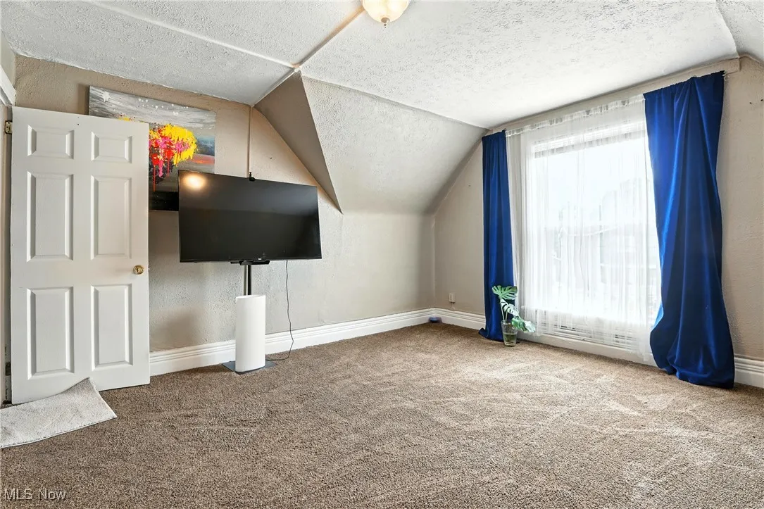 Bonus room featuring carpet floors, vaulted ceiling, and a textured ceiling
