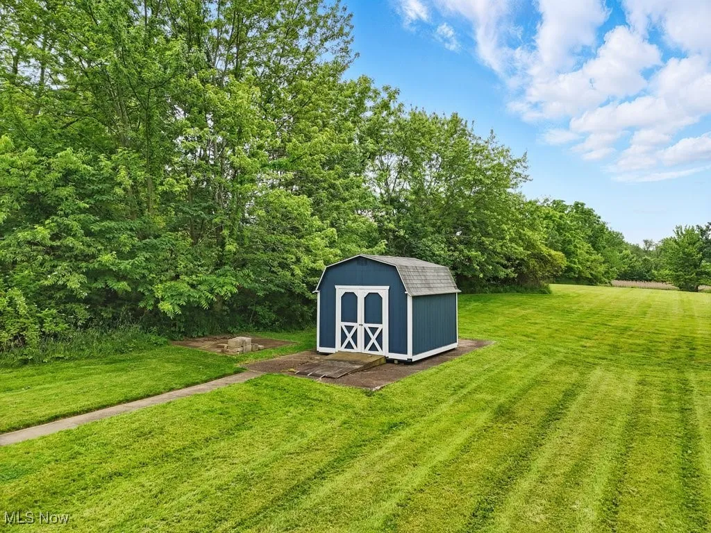 View of grassy yard with a storage shed