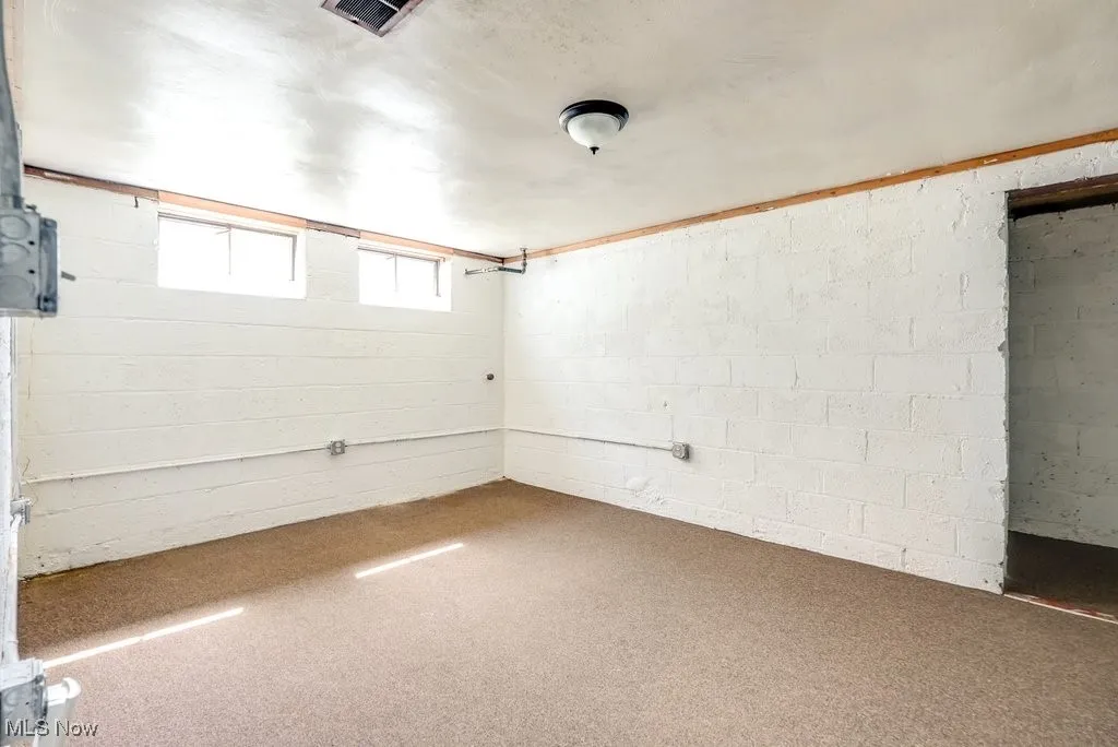 Below grade area featuring carpet and concrete block wall