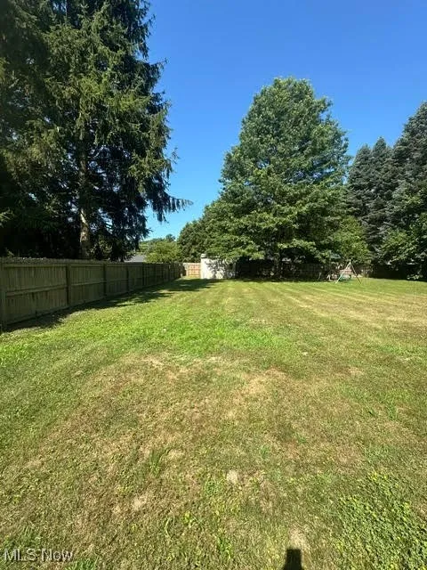 View of backyard