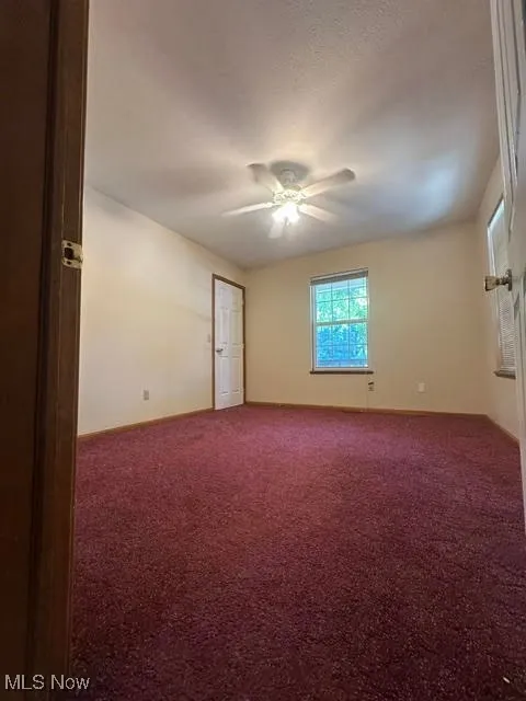 Library/ Study room featuring ceiling fan and carpet enter from Kitchen or Main foyer