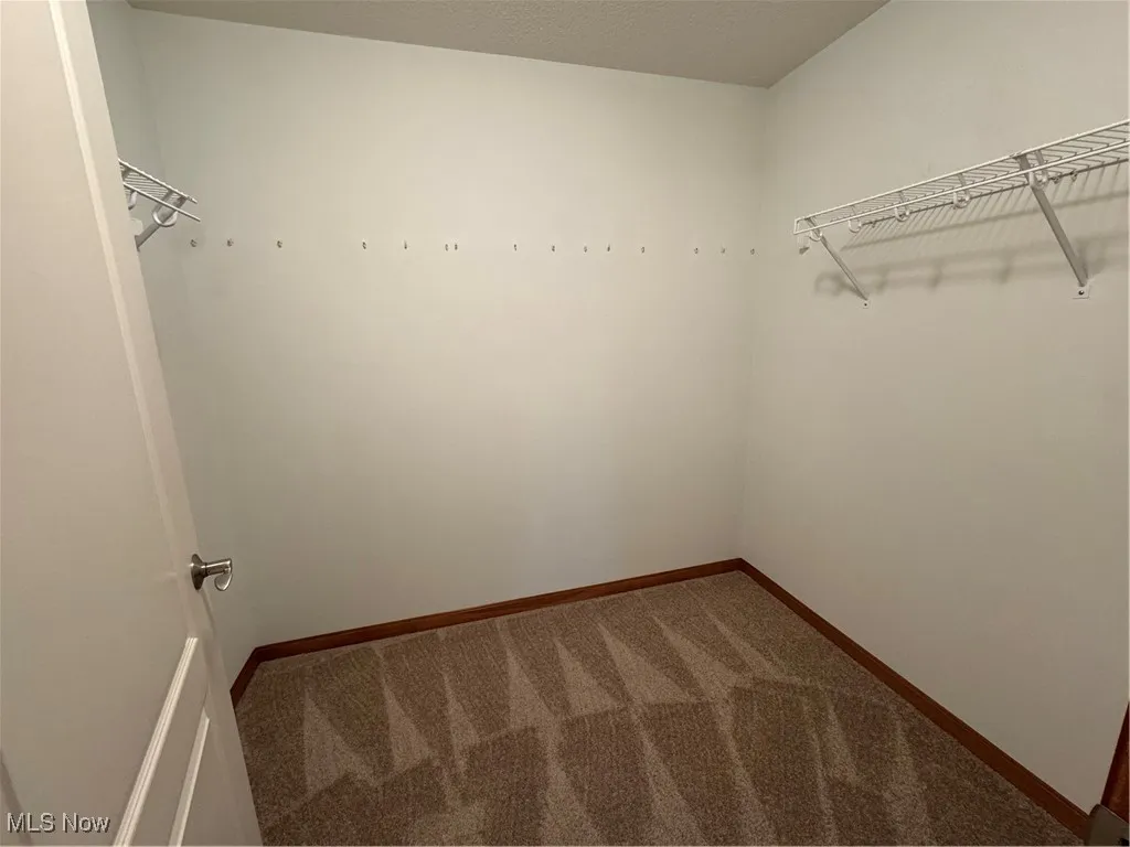 Spacious closet featuring carpet flooring