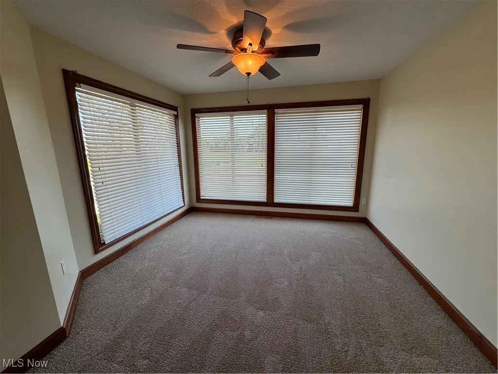 Carpeted spare room featuring ceiling fan and plenty of natural light