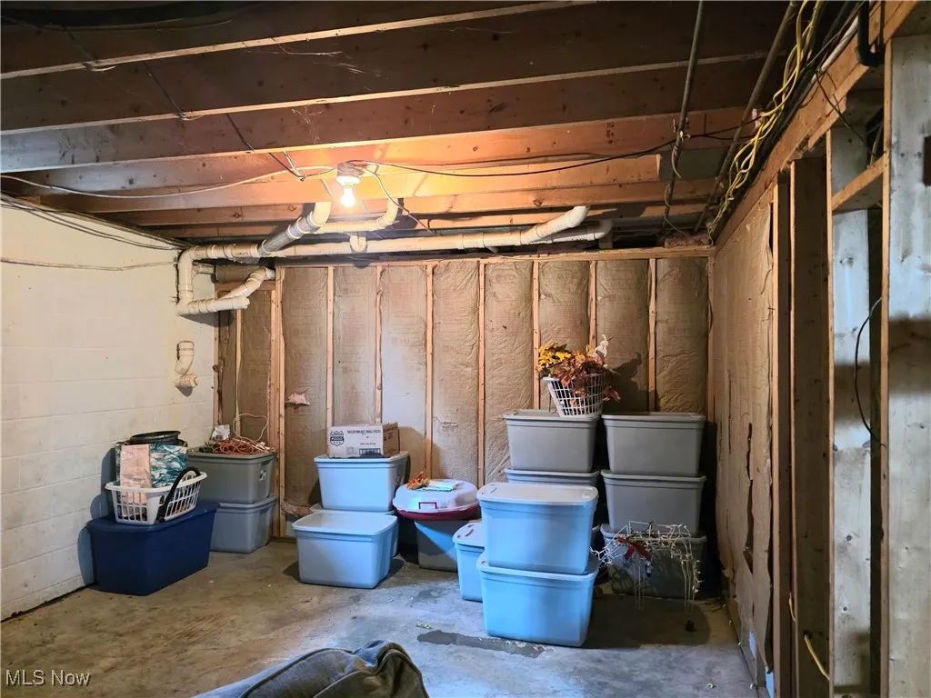 View of unfinished basement