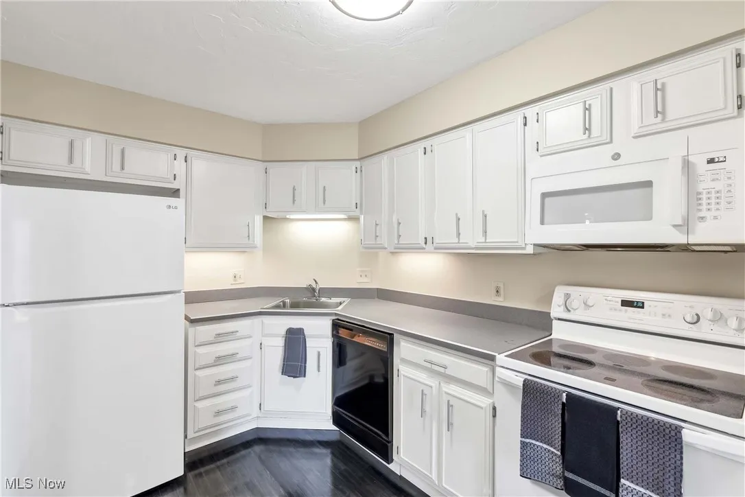 12550 Lake Avenue # 1002, Lakewood, Ohio 44107,MLS Now Listing ID