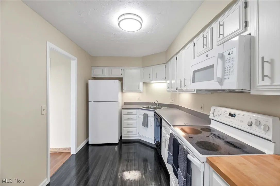 12550 Lake Avenue # 1002, Lakewood, Ohio,MLS Now Listing ID