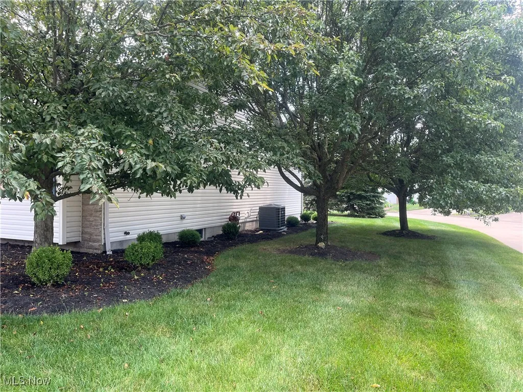 View of grassy yard