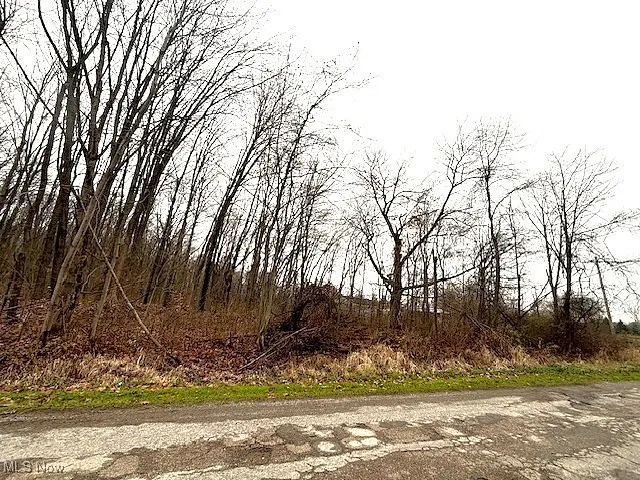 View of nature