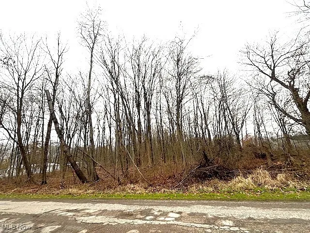 View of undeveloped land