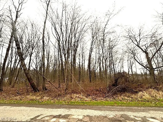 View of local wilderness