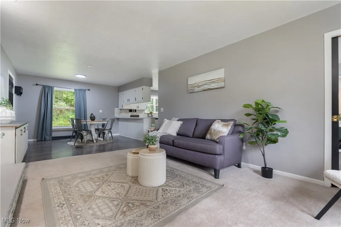 Living room with baseboards and carpet floors