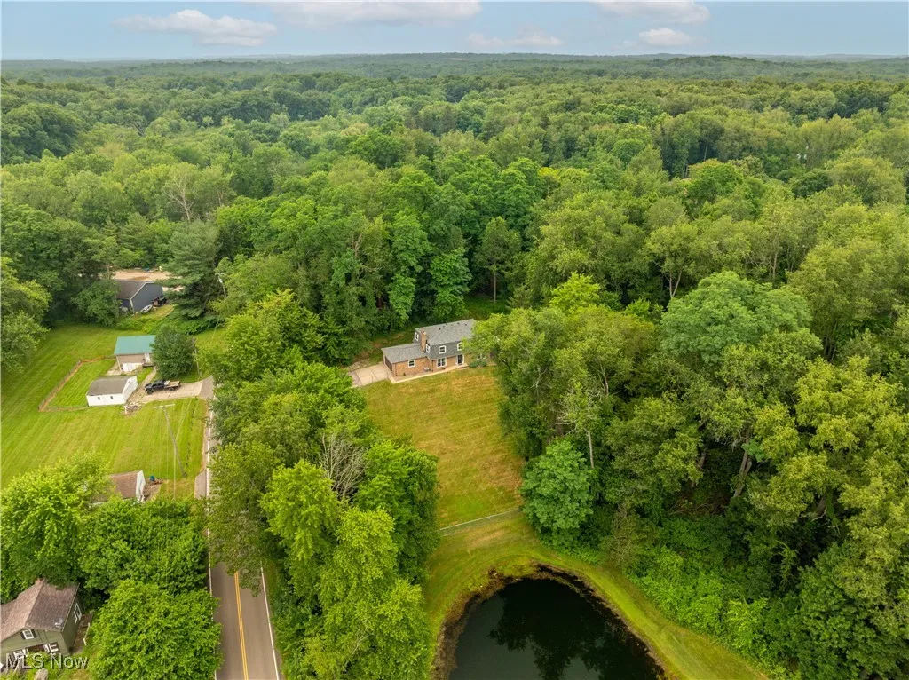 Drone / aerial view of a forest and a large body of water