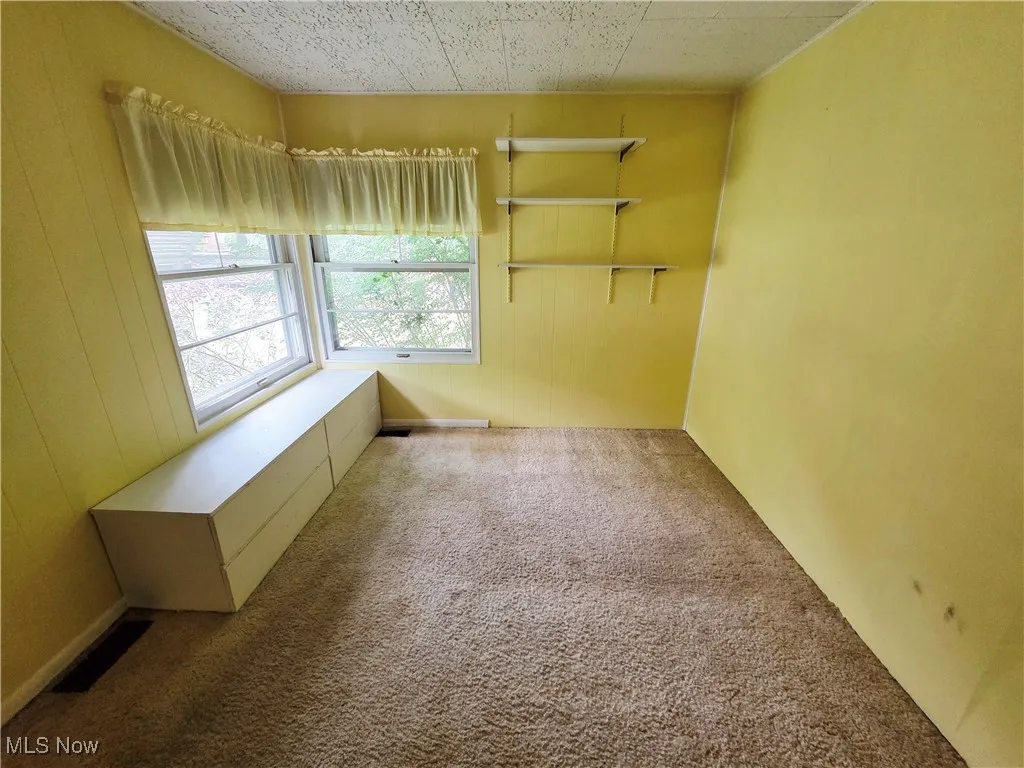 Spare room featuring carpet and wood walls