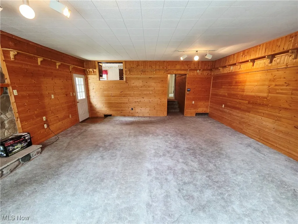 Unfurnished living room featuring wooden walls, carpet, and rail lighting