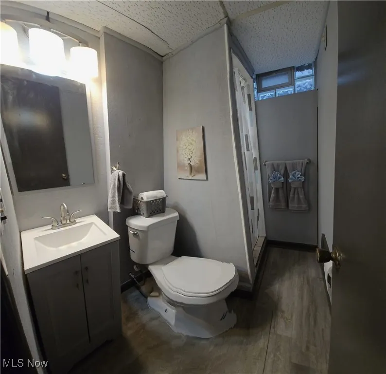 Bathroom featuring wood finished floors, vanity, and a paneled ceiling