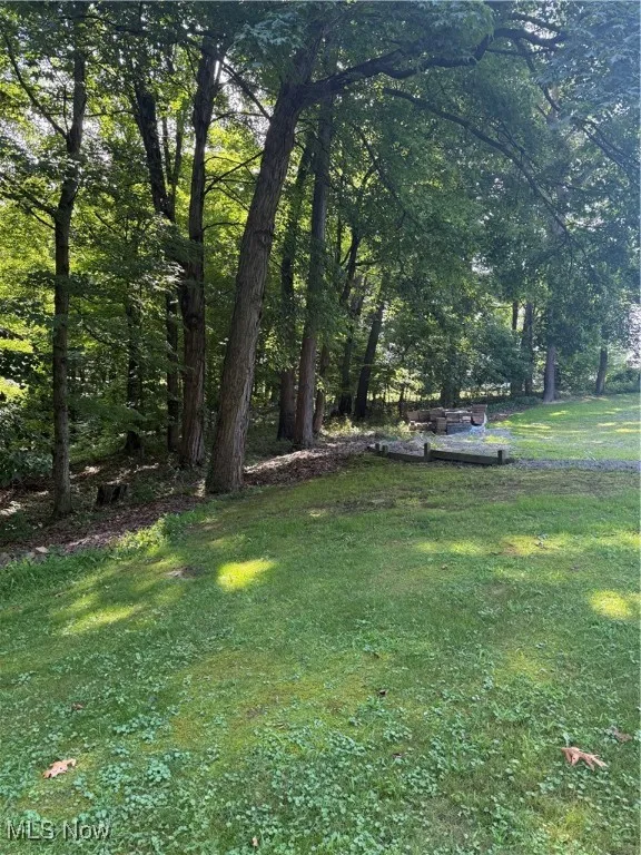View of grassy yard